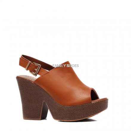 4055-17-camel.jpg